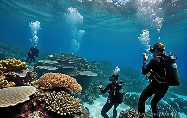 다이빙 강사 자격 유지 요건 - **Prompt: Dedicated Scuba Instructor Studying New Certifications**
    "A diverse male scuba instruc...