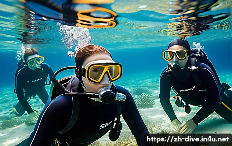 다이빙 강사 안전 사고 예방 사례 관련 이미지 1